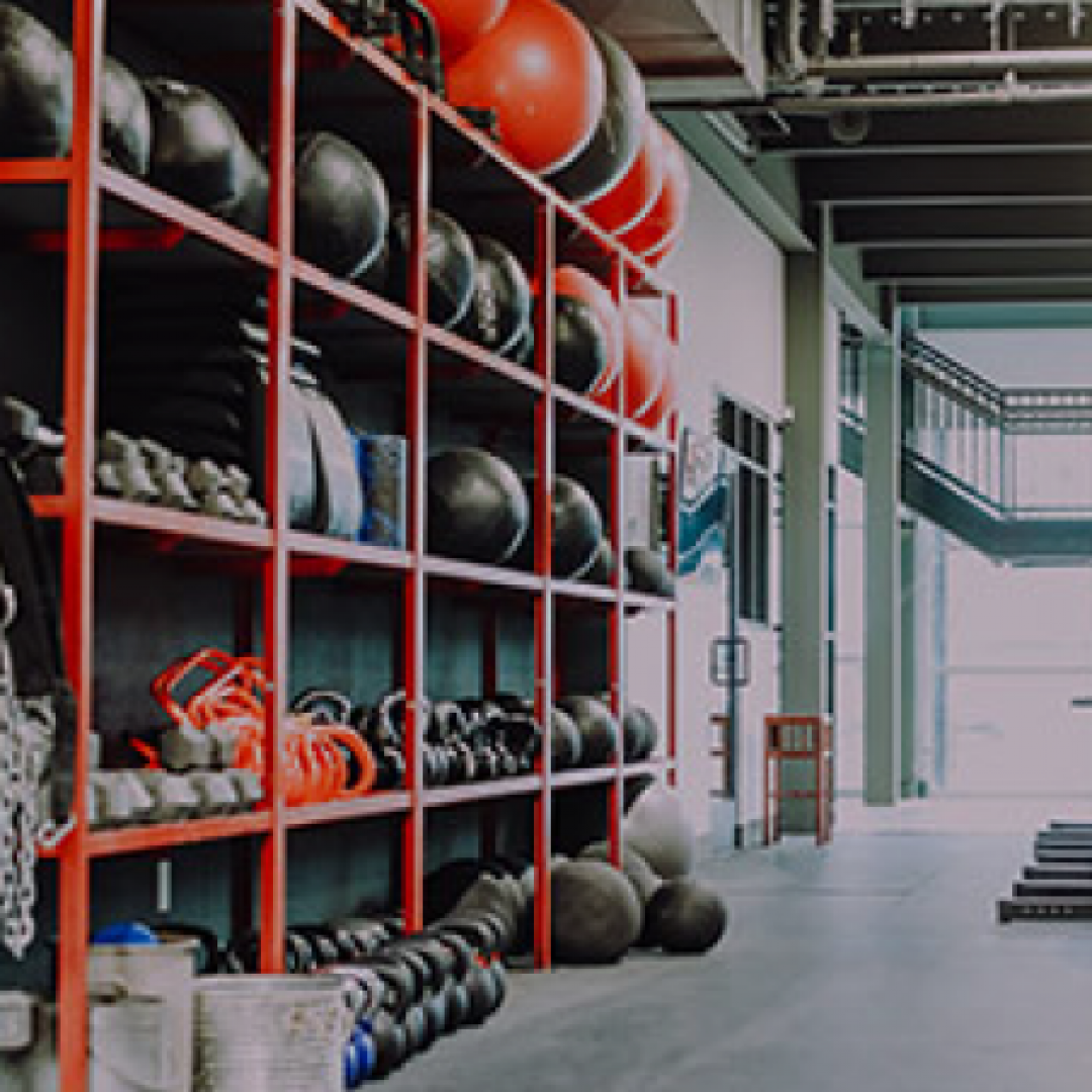 Photo of racked weights and exercise balls
